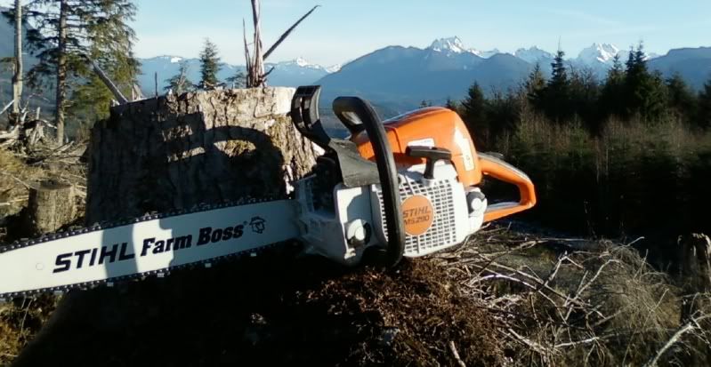 [Hearth.com] show off your chainsaw