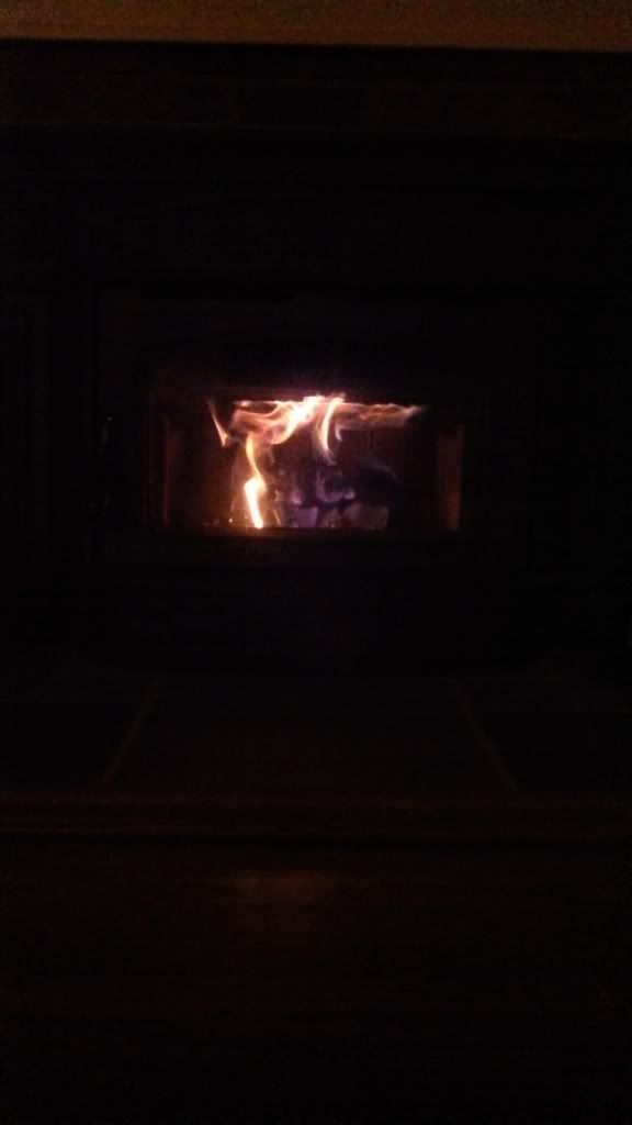 [Hearth.com] Top down start, break in fire