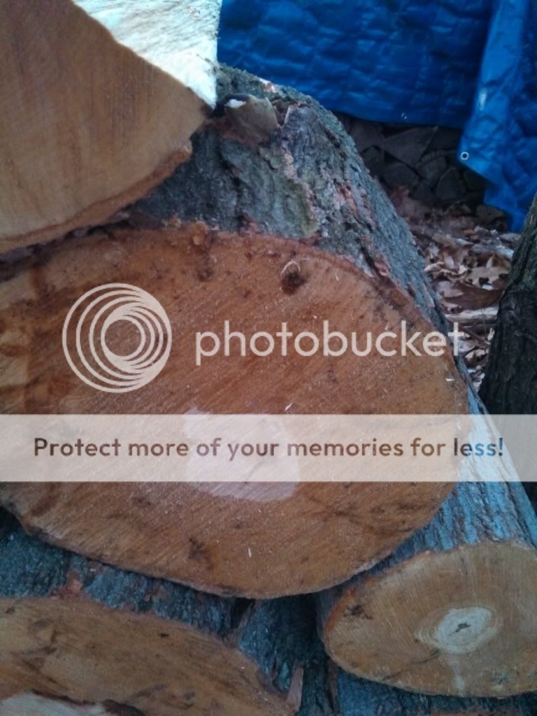 [Hearth.com] Special Delivery + Wood ID