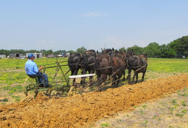 [Hearth.com] Plow Day
