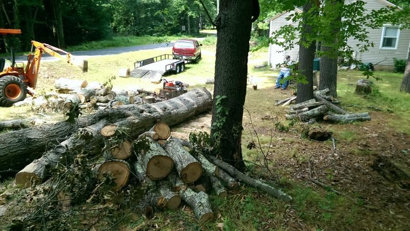 [Hearth.com] Two white oaks and a red oak