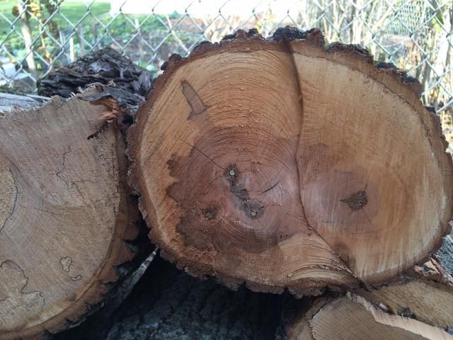 [Hearth.com] Wood ID Please
