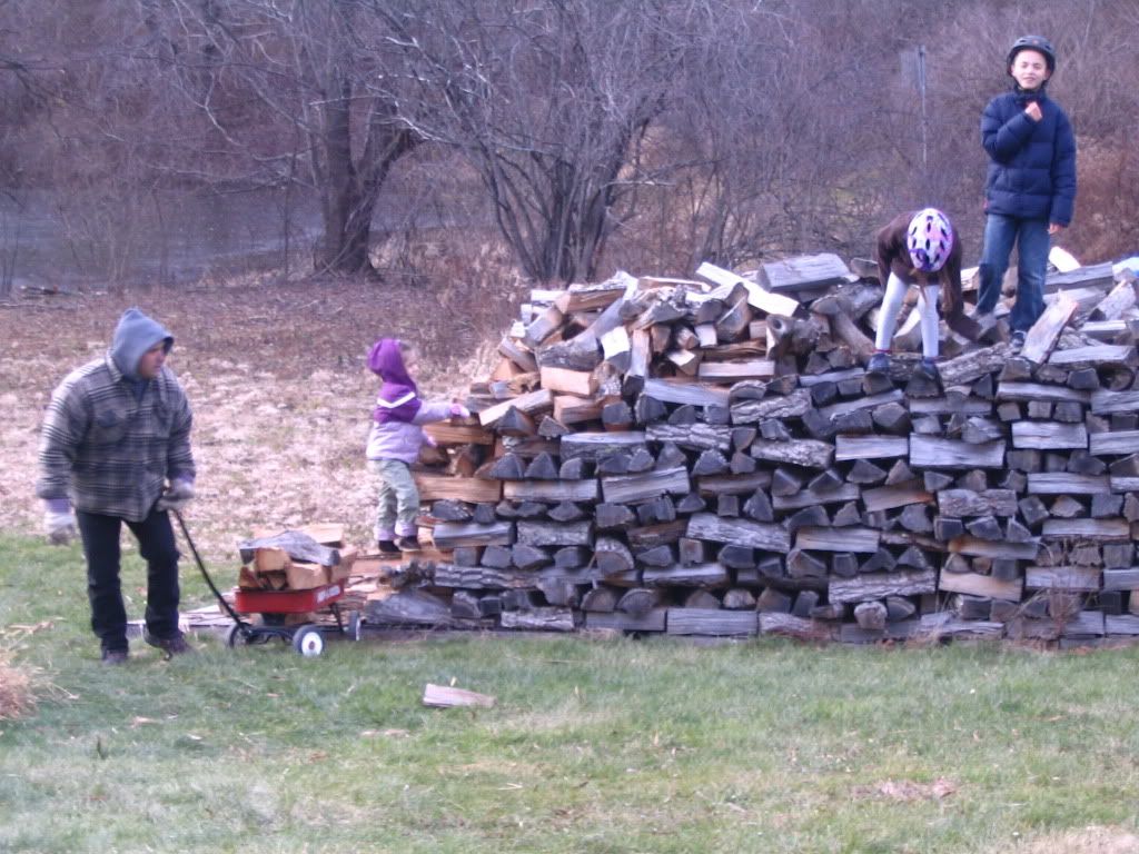 [Hearth.com] Too many rows to season well??