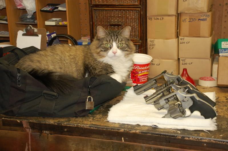 [Hearth.com] Who is guarding your wood?
