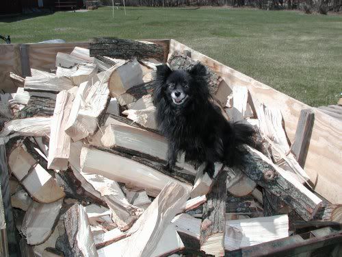 [Hearth.com] Well, humpf...... it's raining, stacks not covered and my foot is black & blue........