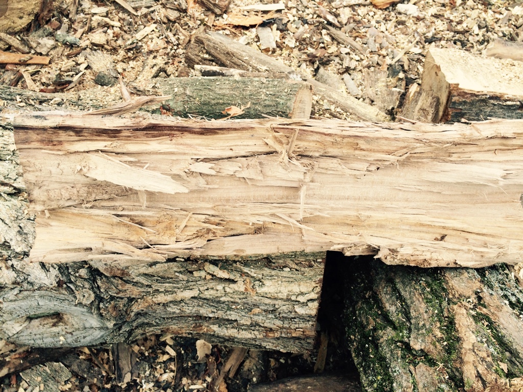 [Hearth.com] Yes! Another ID this wood thread.