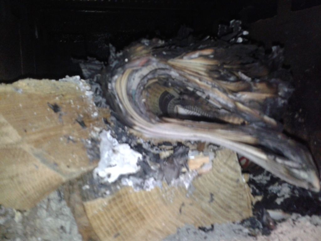 [Hearth.com] Wife lit first fire LOL