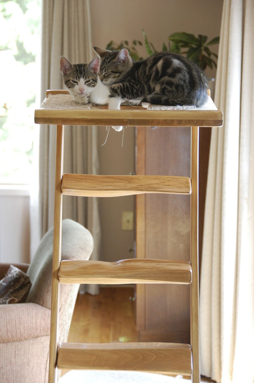 [Hearth.com] Other Uses for Firewood