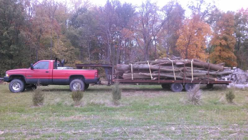 Big loads of oak, black walnut, and some others...