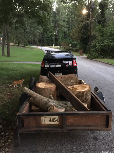[Hearth.com] Scrounging and wood id