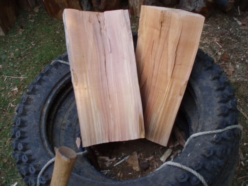 [Hearth.com] cut a load of alder today