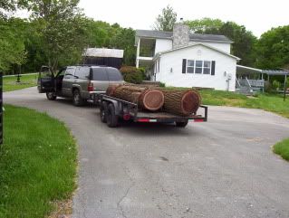 Selling Black Walnut Logs