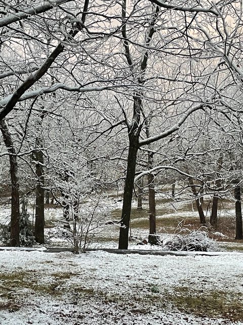 [Hearth.com] Ice storms