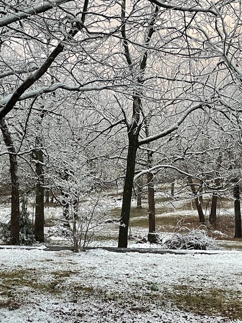 Ice storms