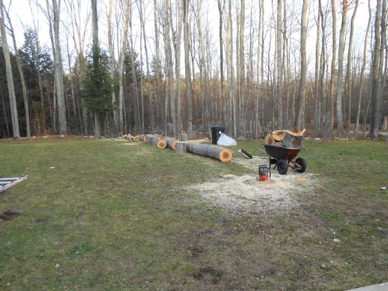[Hearth.com] Trees in yard