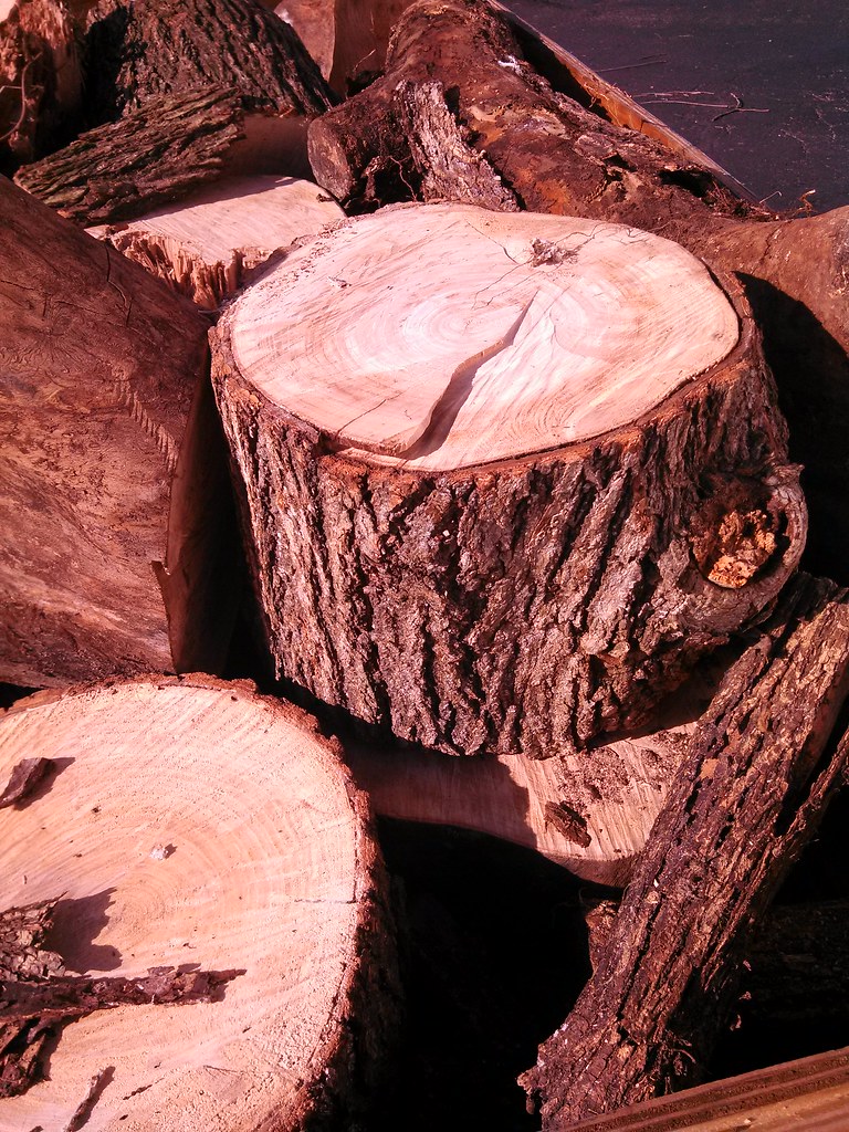 [Hearth.com] Wood ID Please..