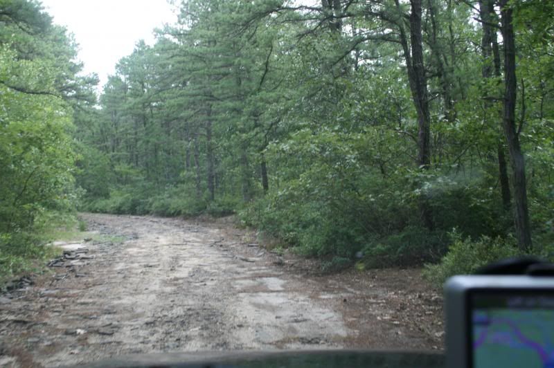 [Hearth.com] Heading to the Jersey Pines this weekend