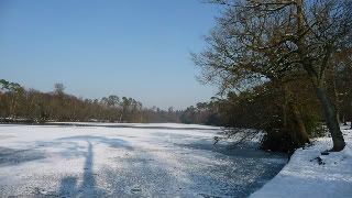 [Hearth.com] Winter arrives at last in the UK........