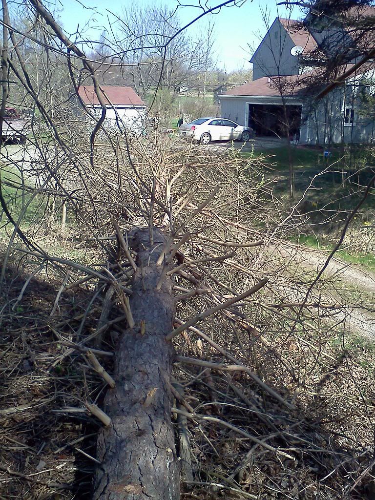 Cut some shoulder season wood today!