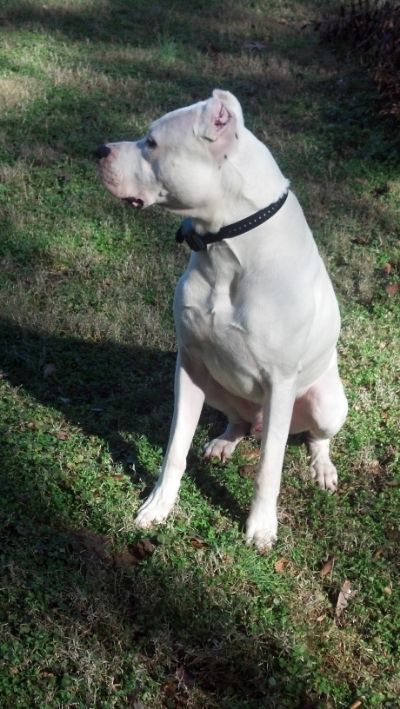 [Hearth.com] pet picture thread