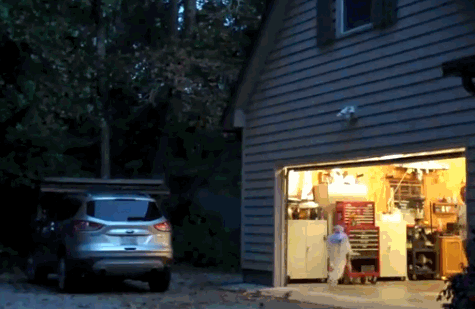 [Hearth.com] Hey Webbie, I found you a halloween trick for the neighborhood kids
