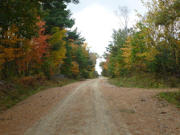 Fall Foliage Pictures