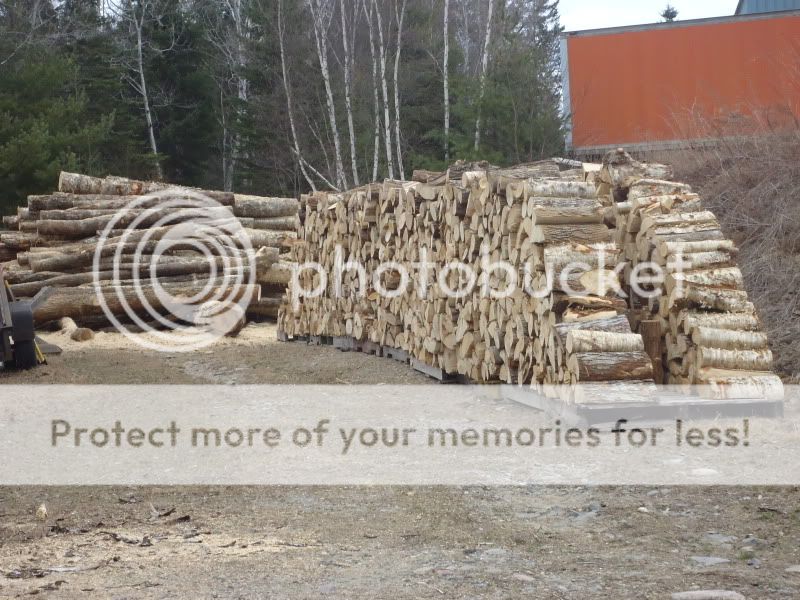 Processing 2013-2015 wood - pics