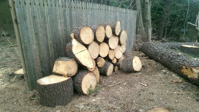 To much free wood at once in SE CT. Anyone want to help and share.