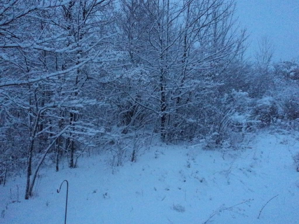 [Hearth.com] 20"of snow  don't shut that stove down just yet