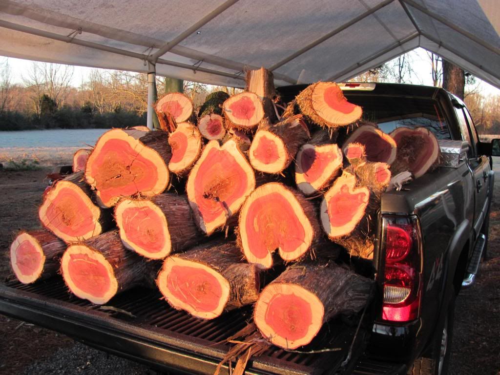 [Hearth.com] Christmas Eve Score