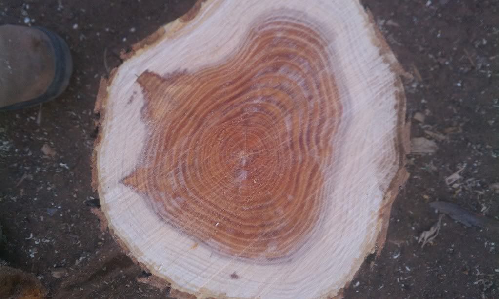[Hearth.com] wood id