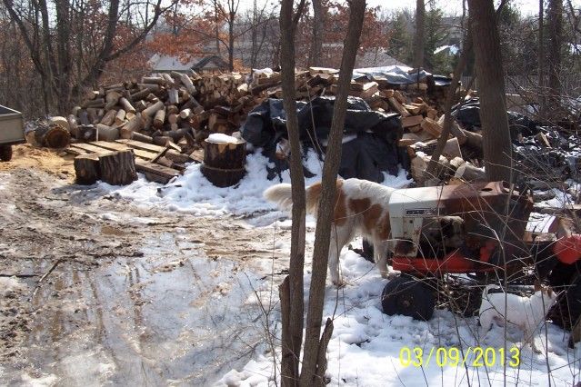 [Hearth.com] wood pile update