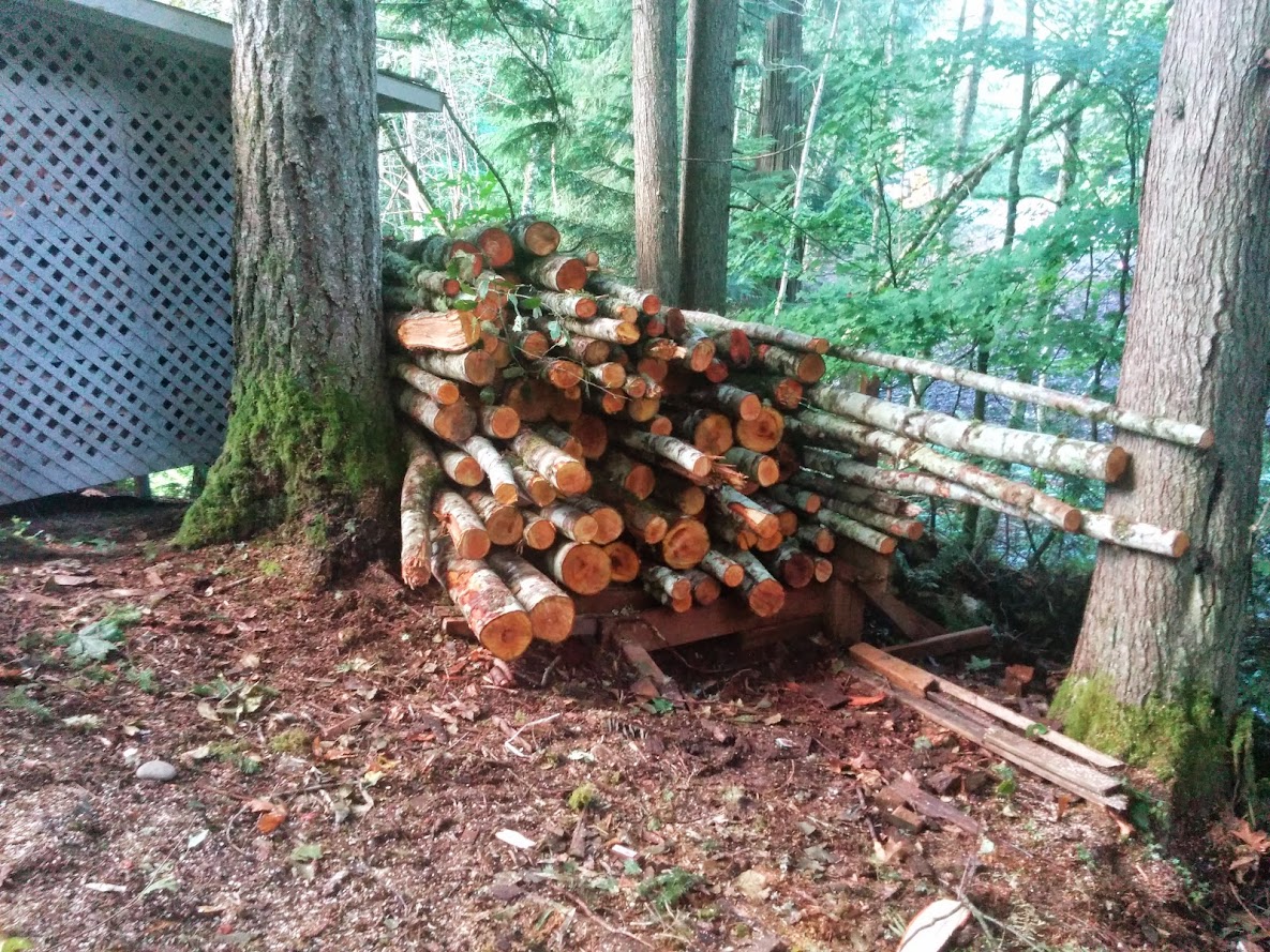 spent the day chopping wood. can you guess which half of the wood shed has fresh wood,