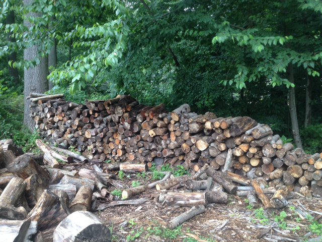 [Hearth.com] Scrounge pics