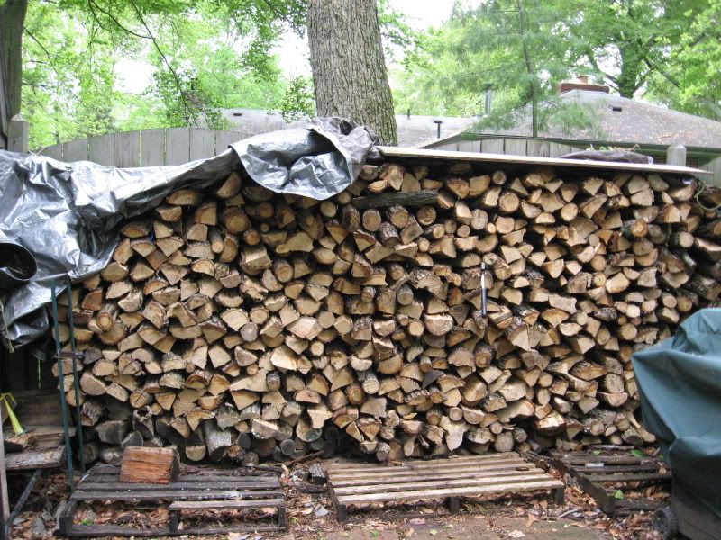 [Hearth.com] Got started on the Ash tree  Pics added