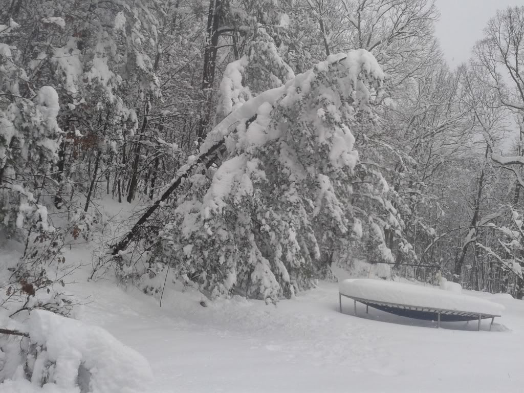 [Hearth.com] Wet Snow And High Winds Headed For The Mid-Atlantic