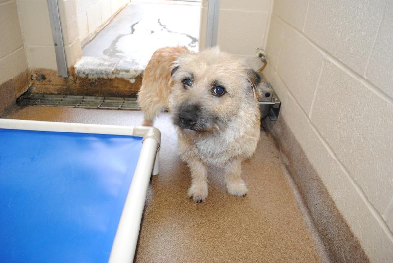 [Hearth.com] Somebody needs to make a road trip for this lil guy