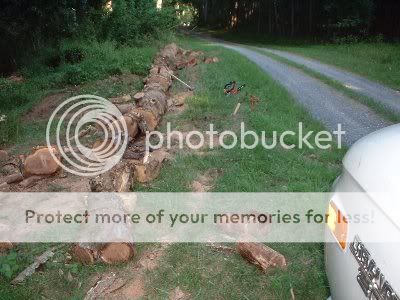 [Hearth.com] Yes, Firewood Grows On Trees