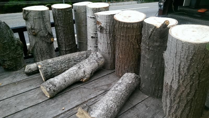 [Hearth.com] Wood ID please