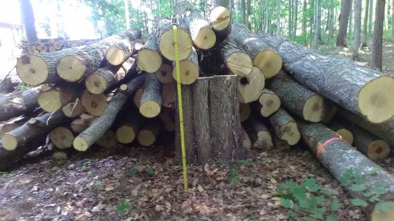 Working with an arborist?  Getting firewood?