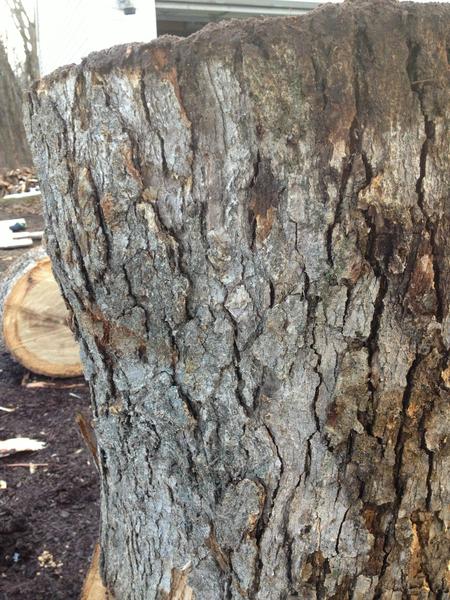 [Hearth.com] Help With Wood ID