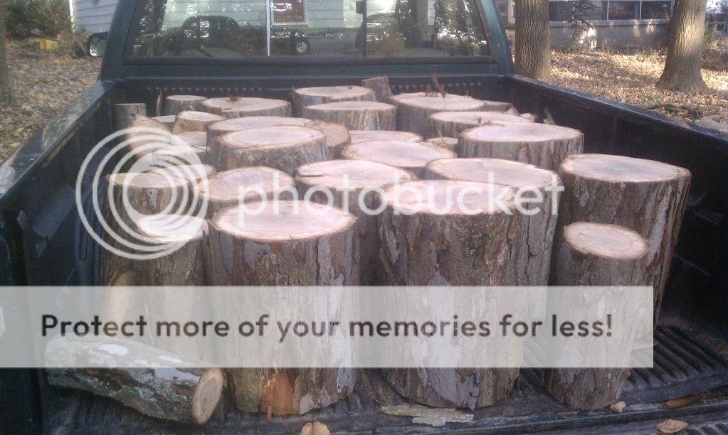 [Hearth.com] standing dead tree... is this good wood?