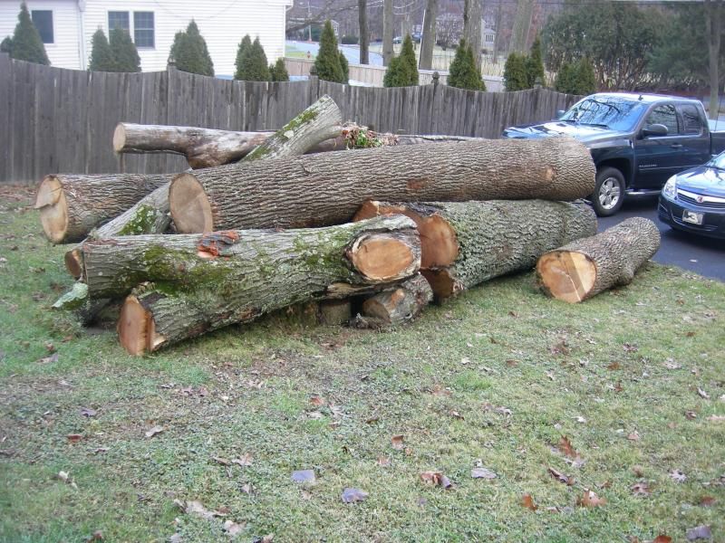 [Hearth.com] Got a small load of logs