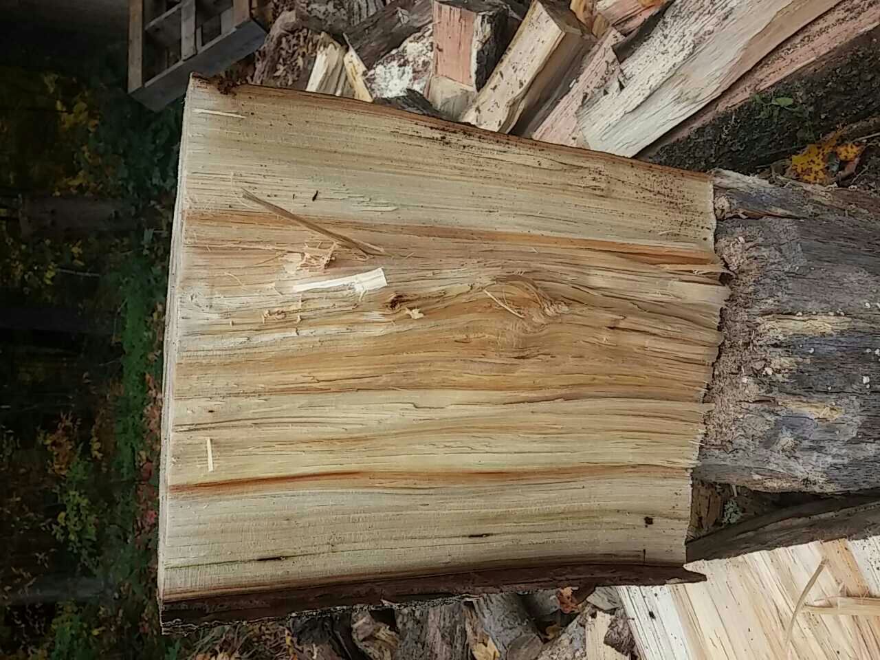 Wood id