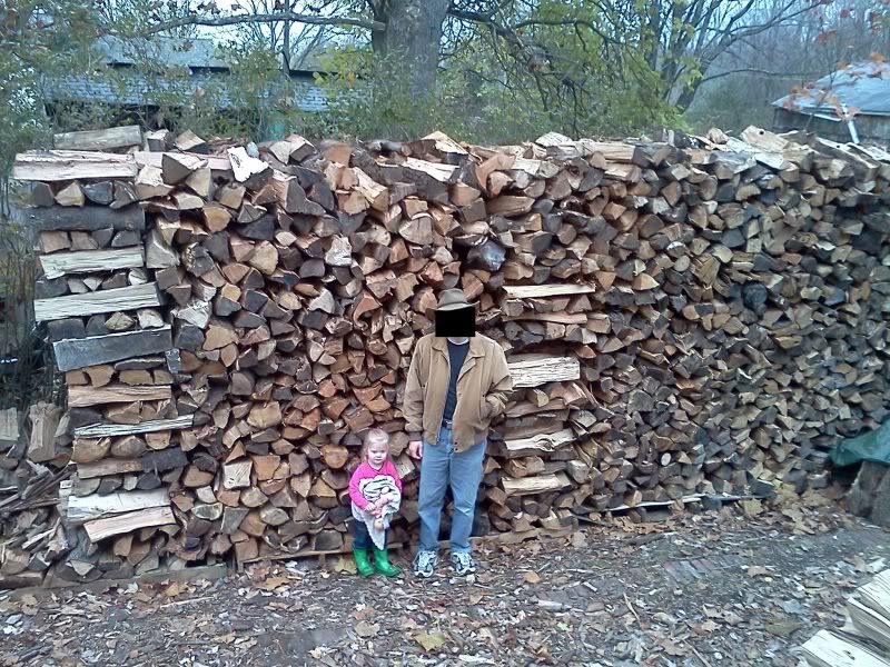 [Hearth.com] Ambitious "vertical cords" crib project - input needed!