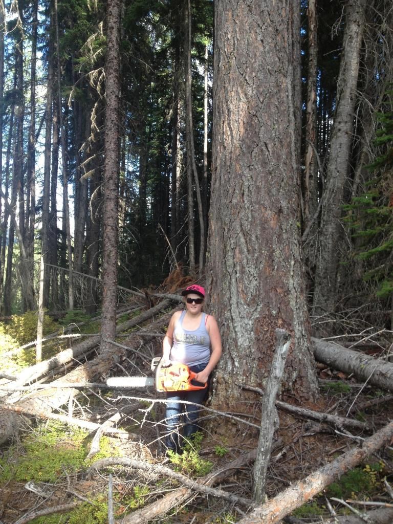 [Hearth.com] Little adventure up in 'Larch' land.