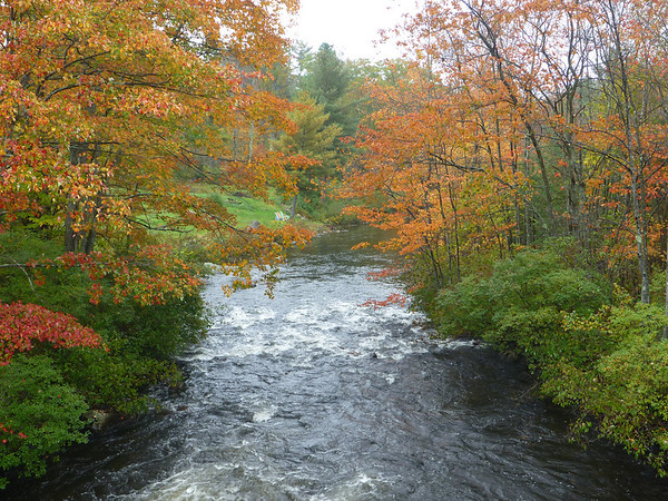 Fall Foliage Pictures