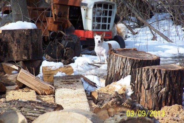 [Hearth.com] wood pile update