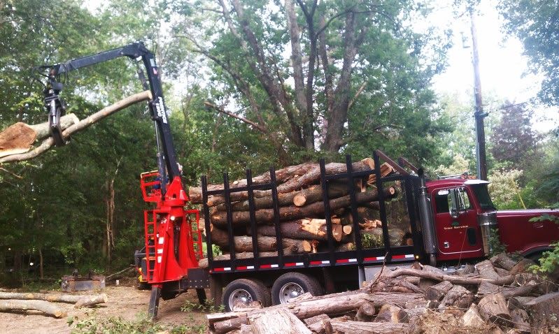 Log Length via a tree service - how much?