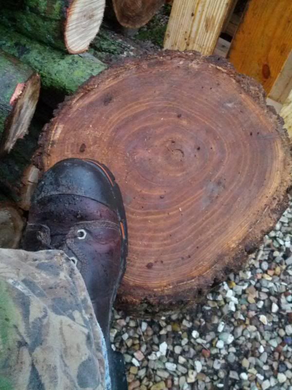 [Hearth.com] Not much but it's a start.... I got wood!